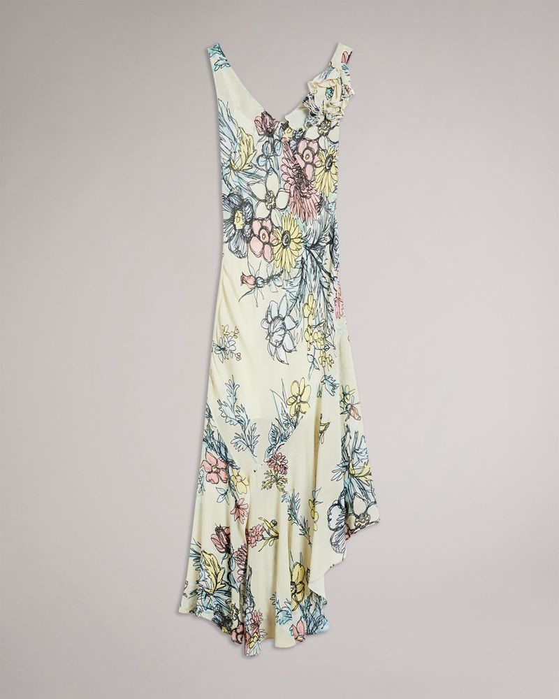 Multicolor Ted Baker Cadenza Floral Sheer Women'ss Dress | NRXFA3459